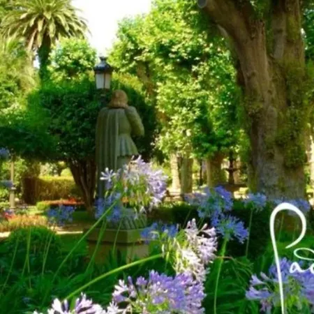 Nextgarden Padrón